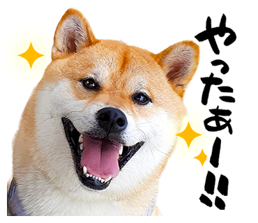 大五郎LINEスタンプ第一弾