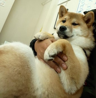 病院での大五郎