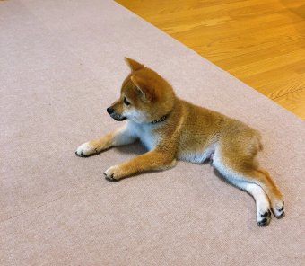 サンコー ずれない ジョイントマット45×45cm