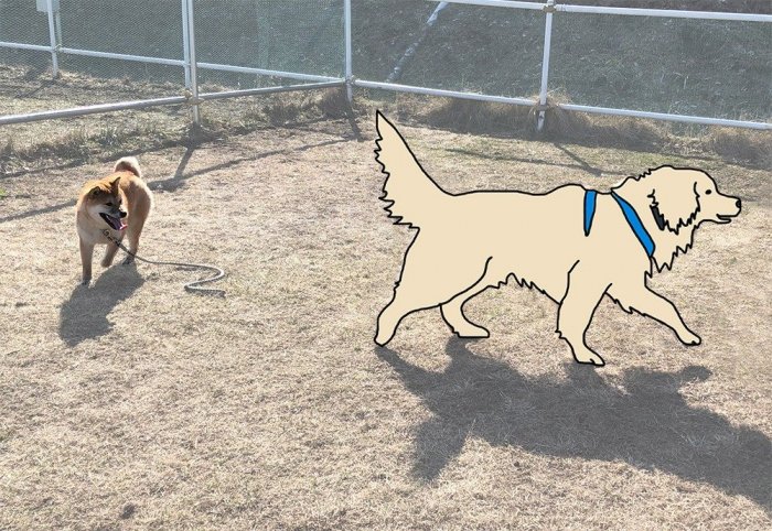 ゴールデン・レトリーバーさんが遊んでくれた